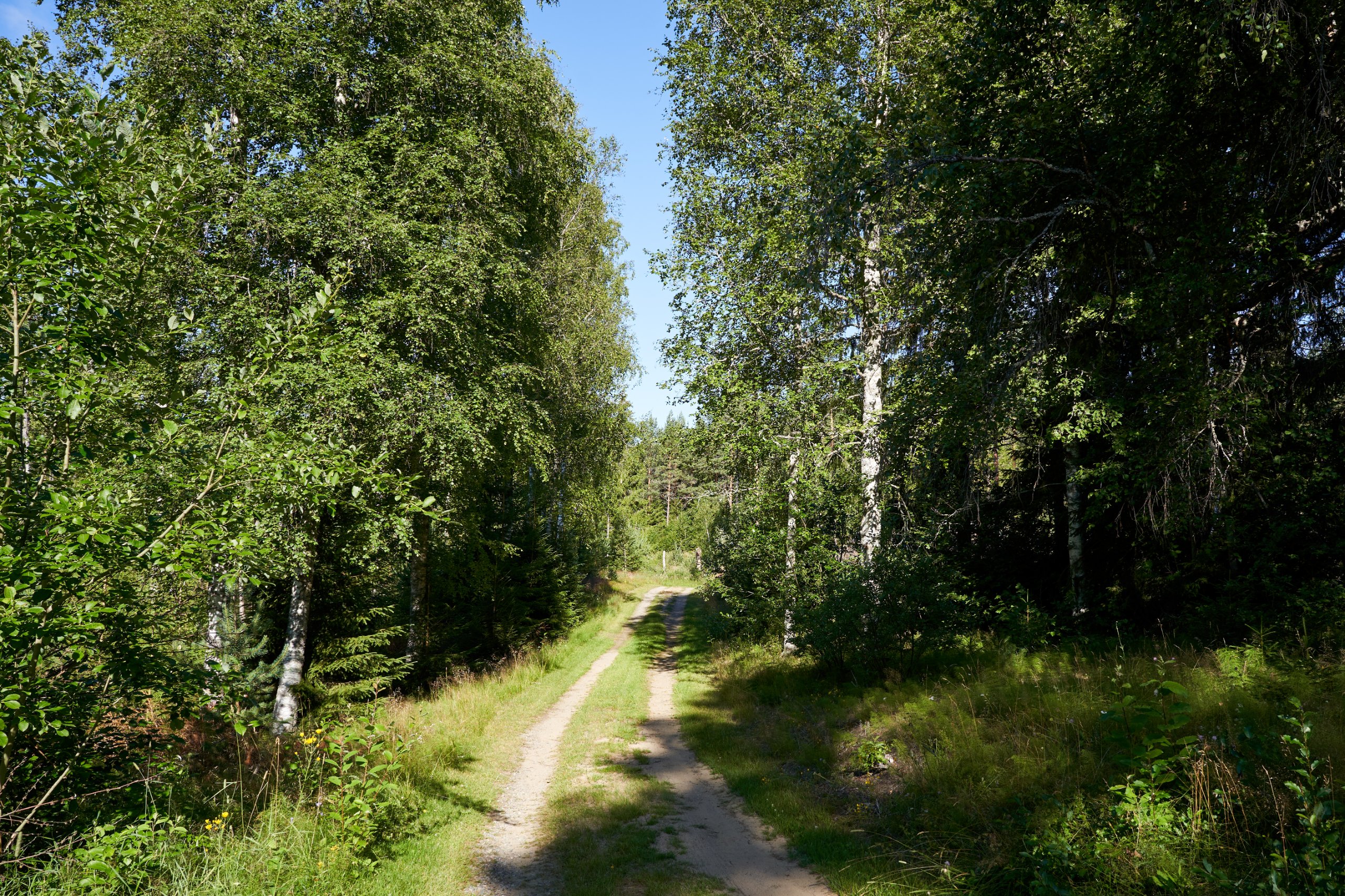 2022 07 22 Sverige 0701